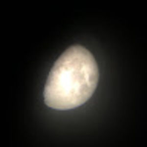 Meet your Posher, Billy